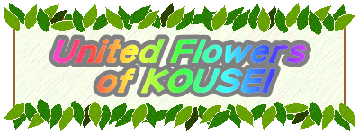 United Flowers  of KOUSEI